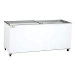Congelador Horizontal 2 Puertas Correderas De Cristal 670 Litros 2055X629X892 Mm